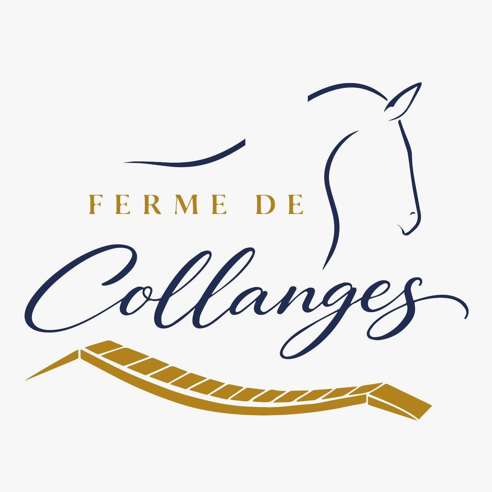Ferme de Collanges à Thoras en Auvergne