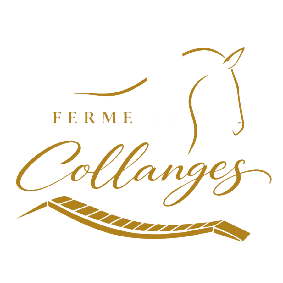 Ferme de Collanges à Thoras en Auvergne