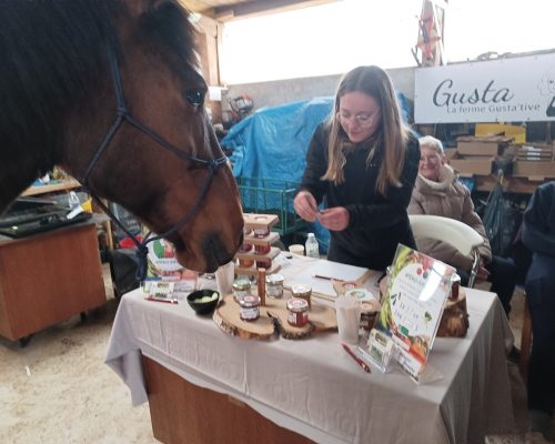 De ferme en ferme a Collanges