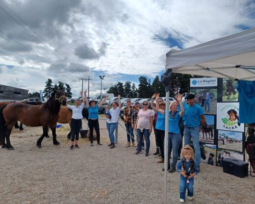 Présentation de race ANCRA à Aumont-Aubrac 2024