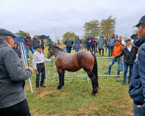 National de race ANCRA à Issoire 2024