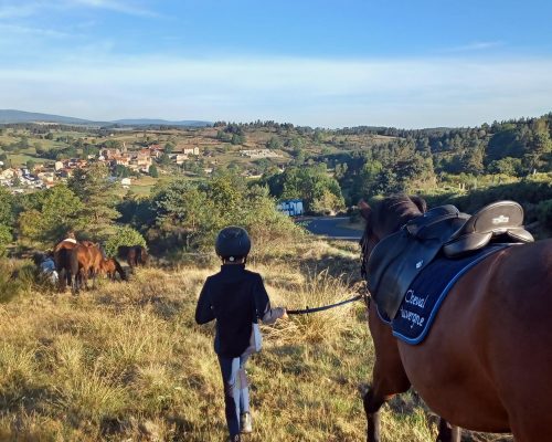 Départemental de race a Thoras 2023 – Foire de Thoras